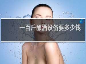 一百斤酿酒设备要多少钱