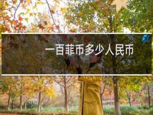 一百菲币多少人民币