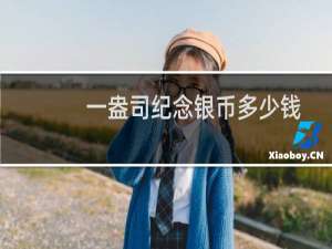 一盎司纪念银币多少钱
