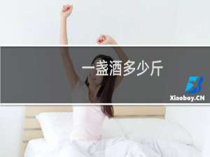 一盏酒多少斤
