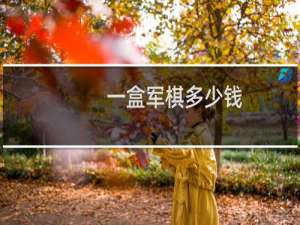 一盒军棋多少钱