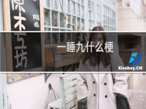 一睡九什么梗