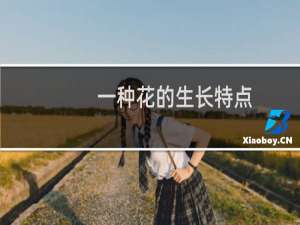一种花的生长特点
