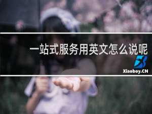 一站式服务用英文怎么说呢