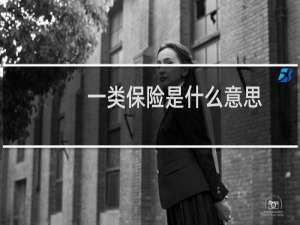 一类保险是什么意思