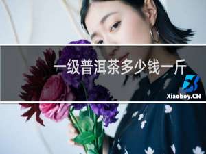 一级普洱茶多少钱一斤