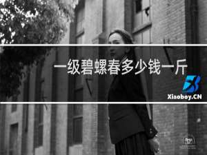 一级碧螺春多少钱一斤