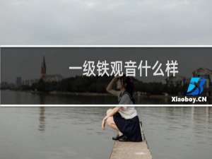 一级铁观音什么样