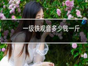 一级铁观音多少钱一斤