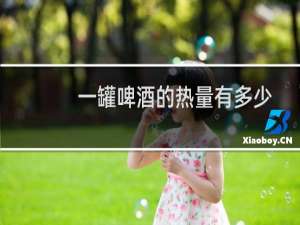 一罐啤酒的热量有多少