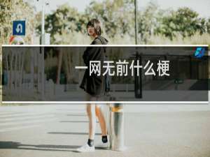 一网无前什么梗