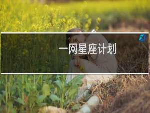 一网星座计划