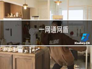 【一网通网盾】免费一网通网盾软件下载