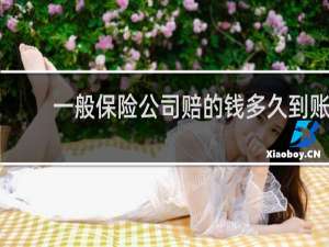 一般保险公司赔的钱多久到账