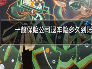 一般保险公司退车险多久到账