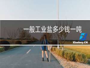 一般工业盐多少钱一吨