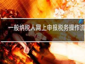一般纳税人网上申报税务操作流程