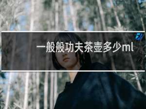 一般般功夫茶壶多少ml