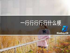 一行行行行行什么梗