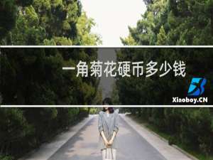 一角菊花硬币多少钱