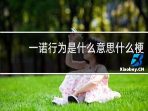 一诺行为是什么意思什么梗