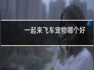 一起来飞车宠物哪个好