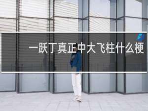 一跃丁真正中大飞柱什么梗