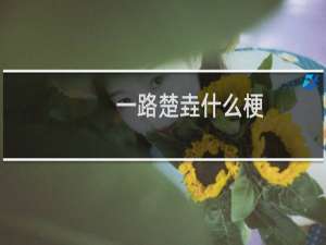 一路楚垚什么梗