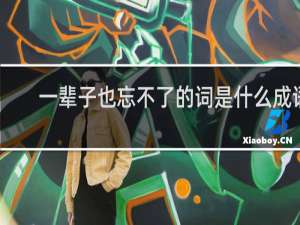一辈子也忘不了的词是什么成语
