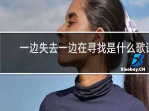 一边失去一边在寻找是什么歌词