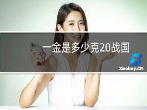 一金是多少克 战国