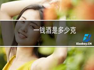 一钱酒是多少克