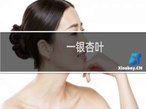 一银杏叶