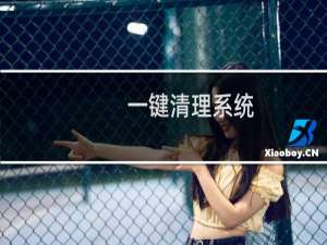 一键清理系统（一键清除系统lj bat）