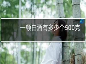 一顿白酒有多少个500克