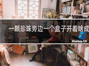 一颗珍珠旁边一个盒子开着啥成语