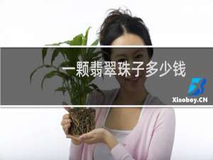 一颗翡翠珠子多少钱