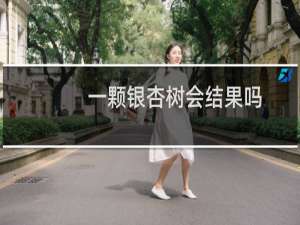 一颗银杏树会结果吗