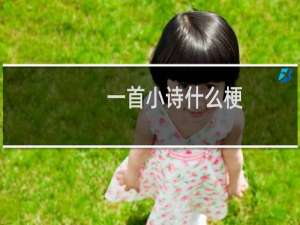 一首小诗什么梗