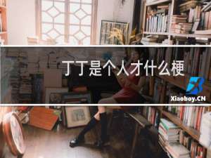 丁丁是个人才什么梗？丁丁是个人才是什么意思什么梗