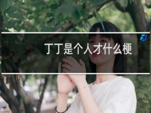 丁丁是个人才什么梗