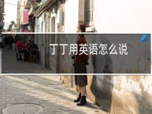 丁丁用英语怎么说