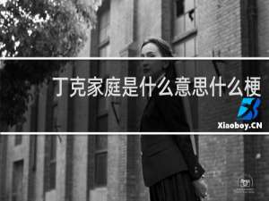 丁克家庭是什么意思什么梗