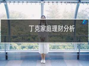 丁克家庭理财分析