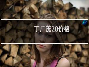 丁广茂 价格