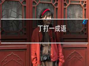 丁打一成语（丁打一成语）