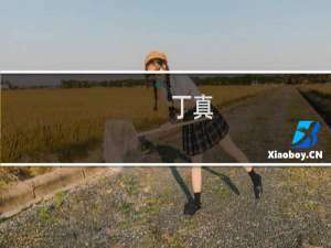 丁真：联合国演讲什么梗