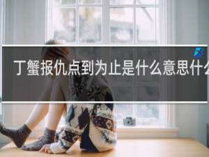 丁蟹报仇点到为止是什么意思什么梗