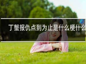 丁蟹报仇点到为止是什么梗什么梗