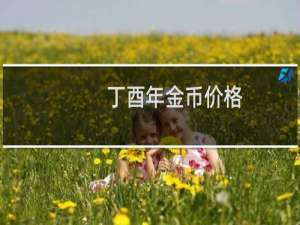 丁酉年金币价格